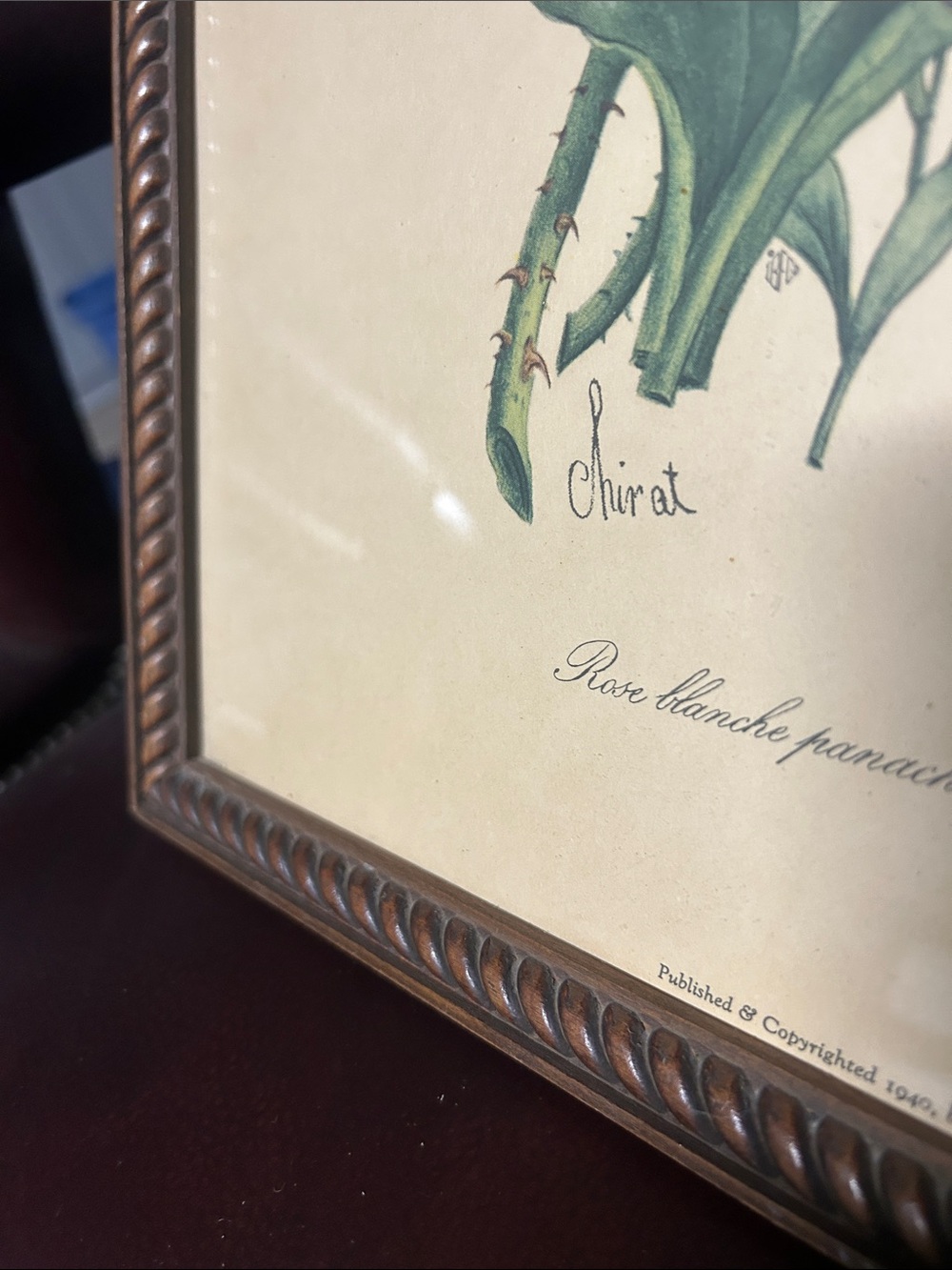 Vintage Floral Botanical Print in Brown Frame - Red, Pink, Green - Picture 4 of 11